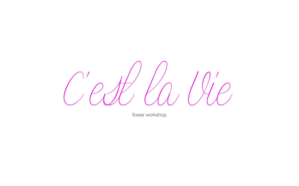 Kosolapa Script Font