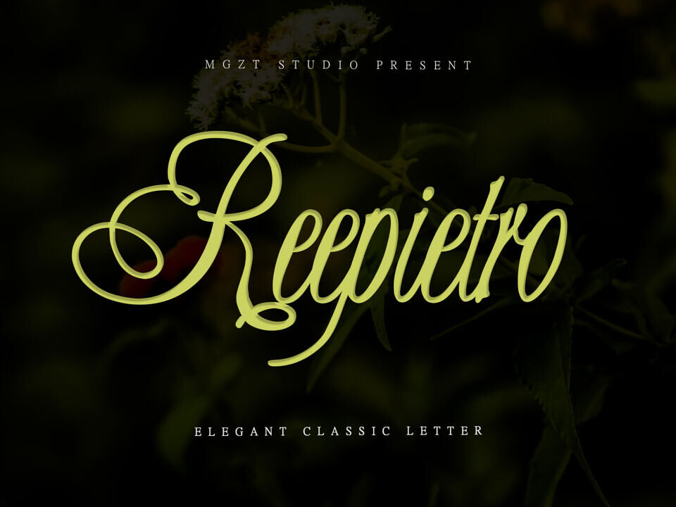 Reepietro Font