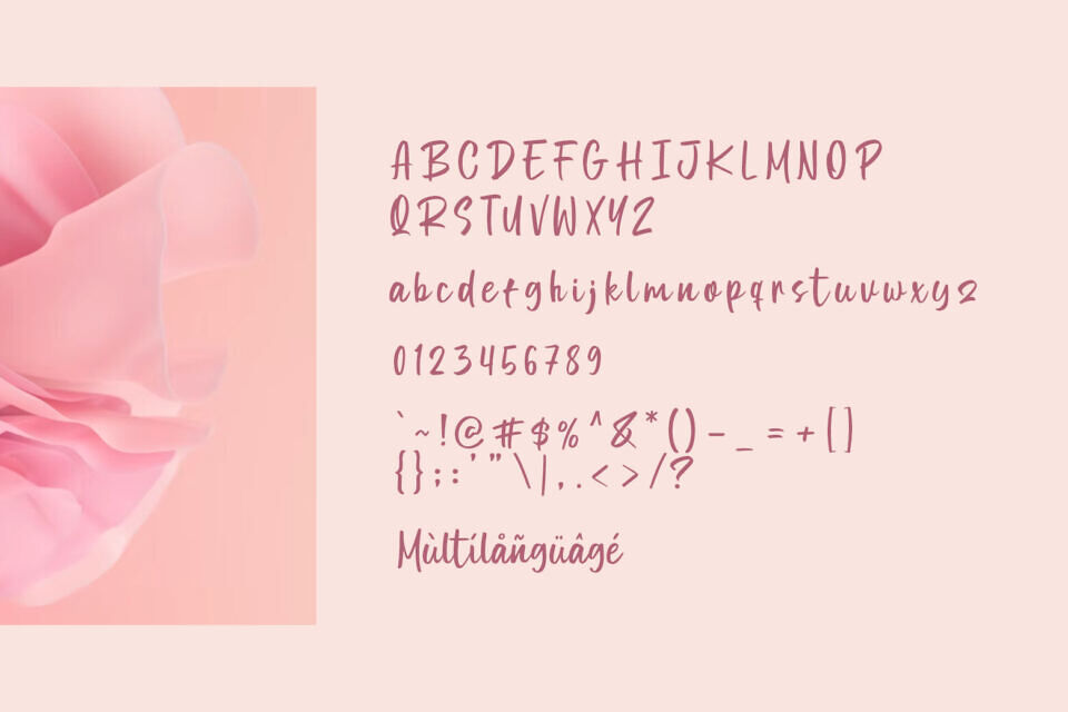 Rosellia Font