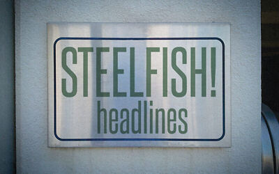 Steelfish Font