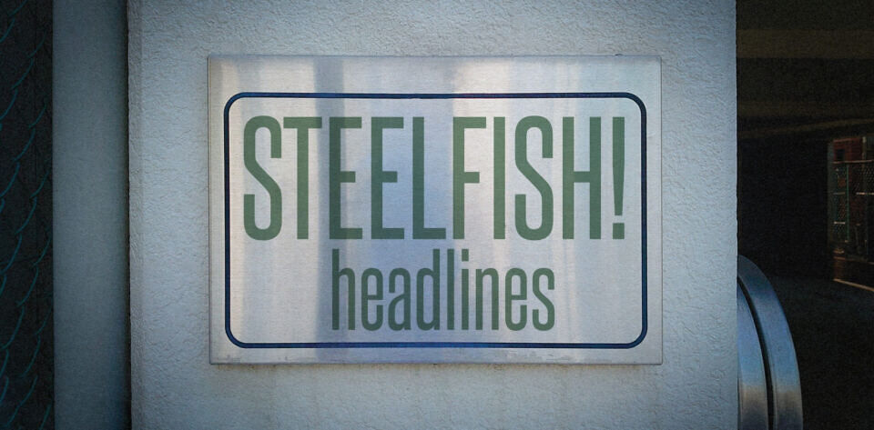 Steelfish Font