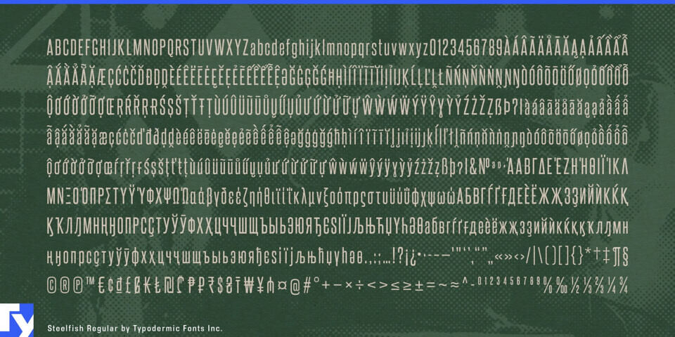 Steelfish Font