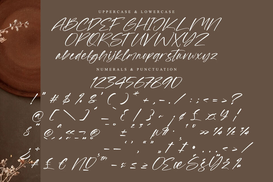 Strokeline Monogram Font
