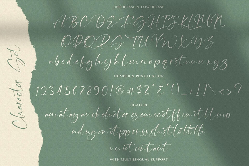 Thinker Script Font