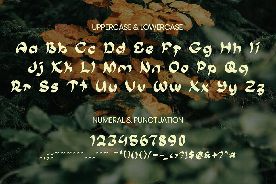Torumi Font