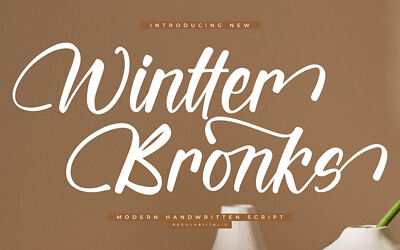 Wintter Bronks Font