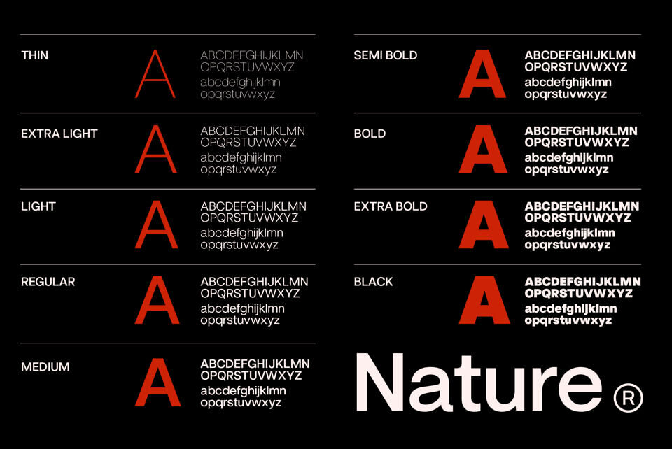 ZT Nature Font