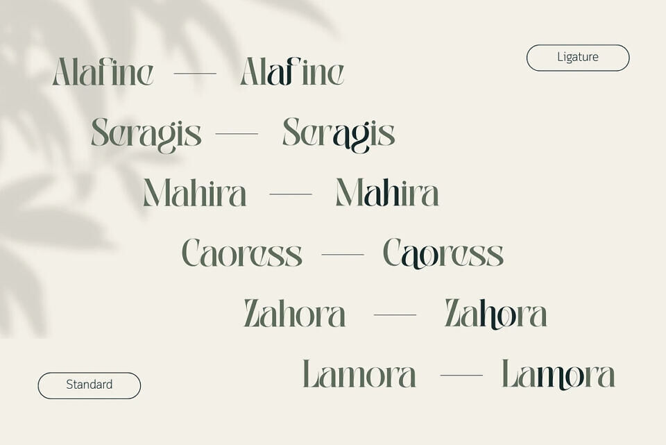 Abogia Font