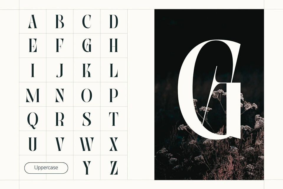 Abogia Font