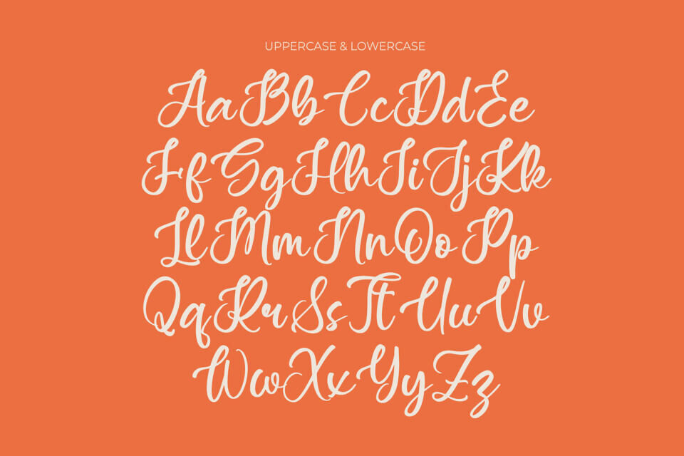 Asylen Raneta Font