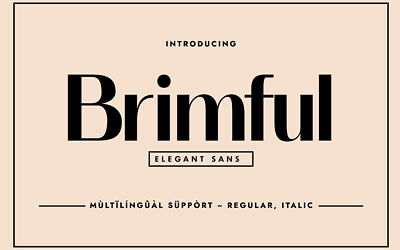 Brimful Font