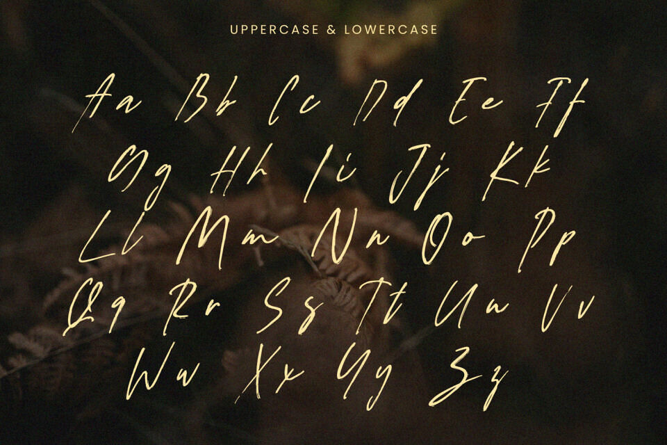 Figuea Granatae Font