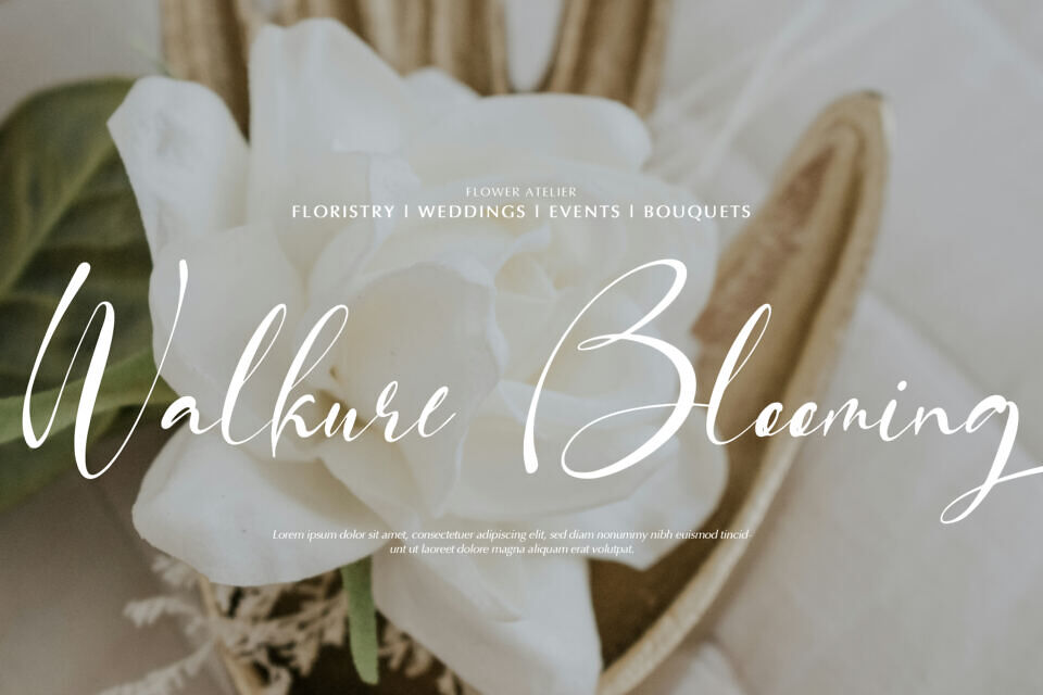 Fortune Messenger Font