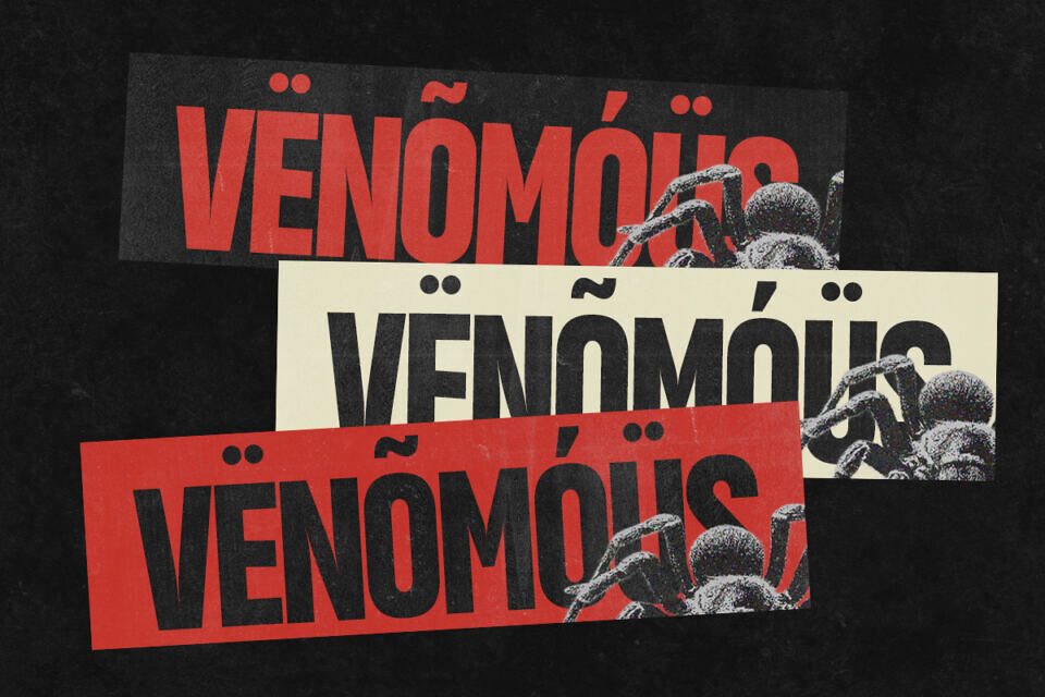 Gc Vank Font