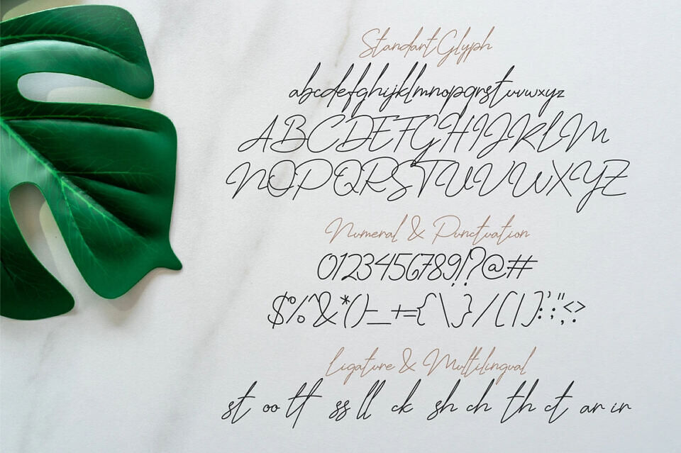Jhenyta Signature Font