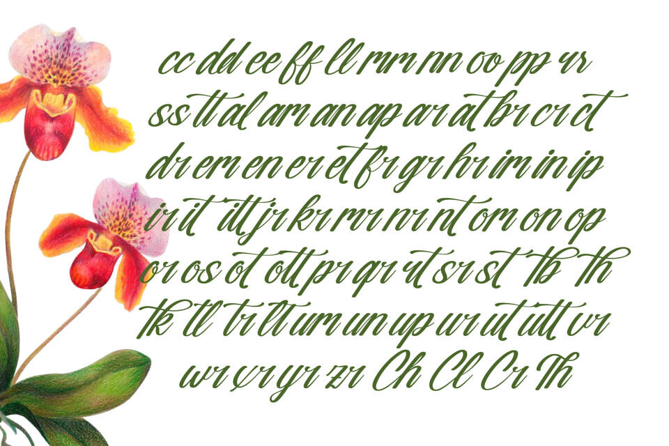 Nostalgic Pictures Font