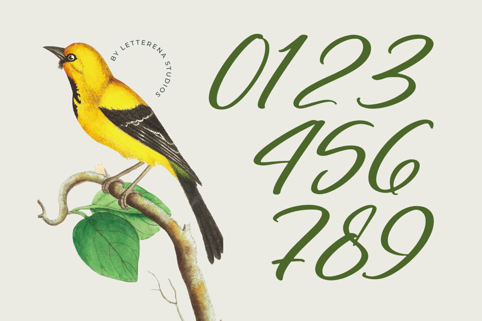 Nostalgic Pictures Font