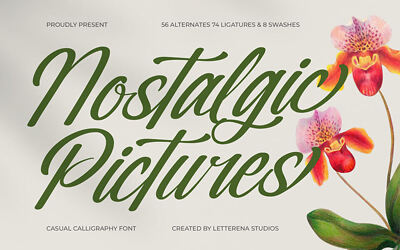 Nostalgic Pictures Font