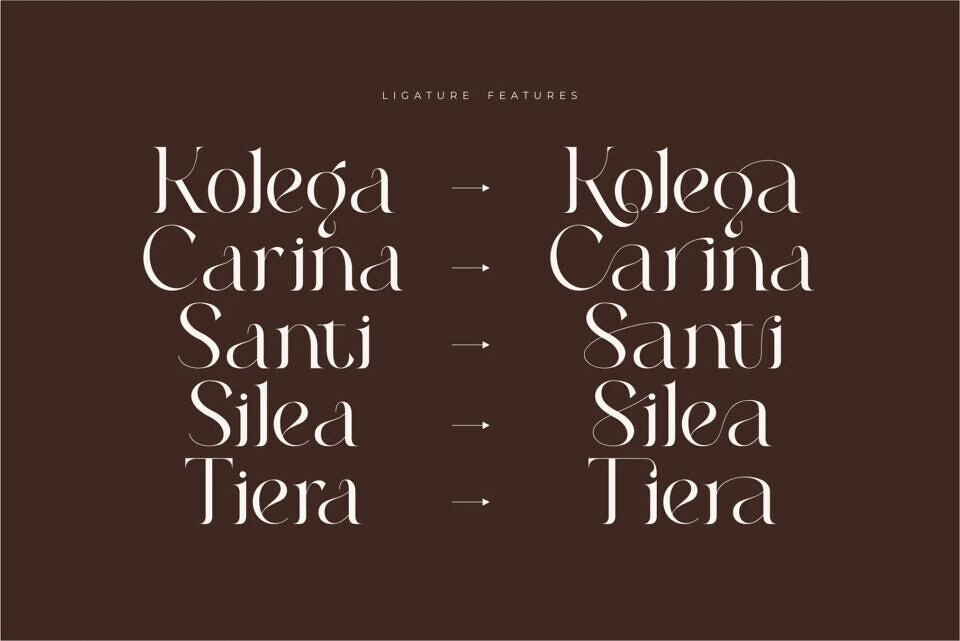 Roilra Font