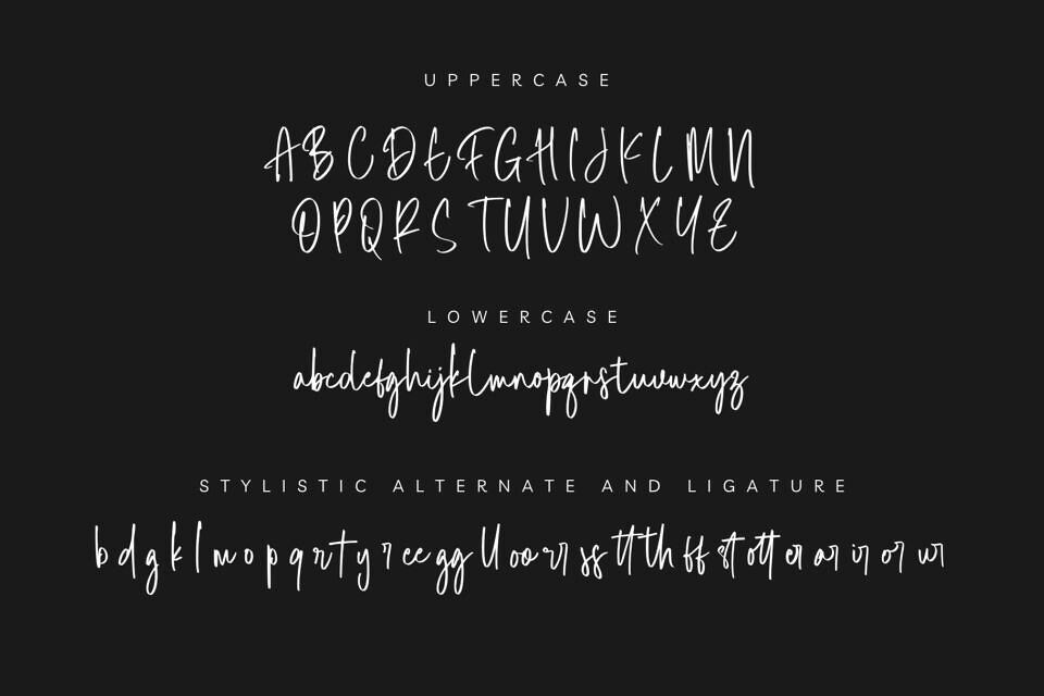 Rotterline Font