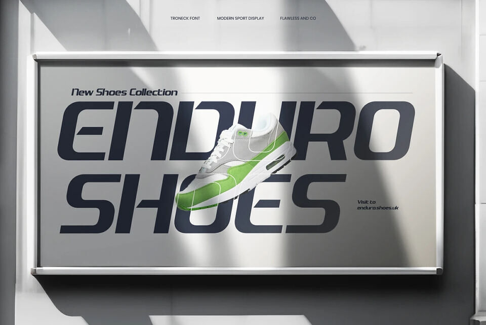 Troneck Font
