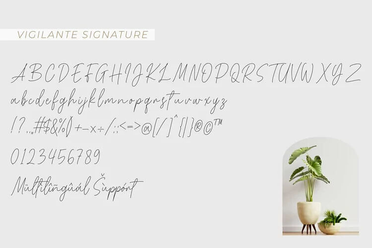 Vigilante Signature Font