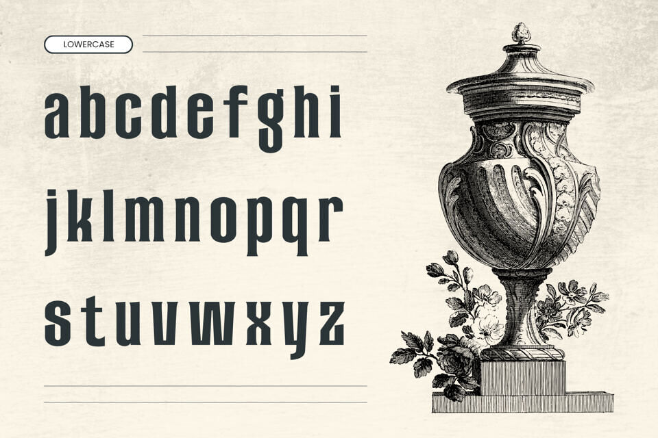 Arexa Font