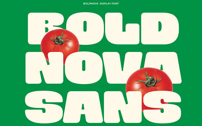 Boldnova Font