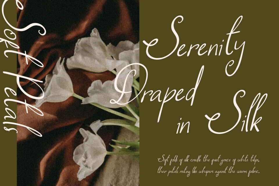 Cs Darlings Font