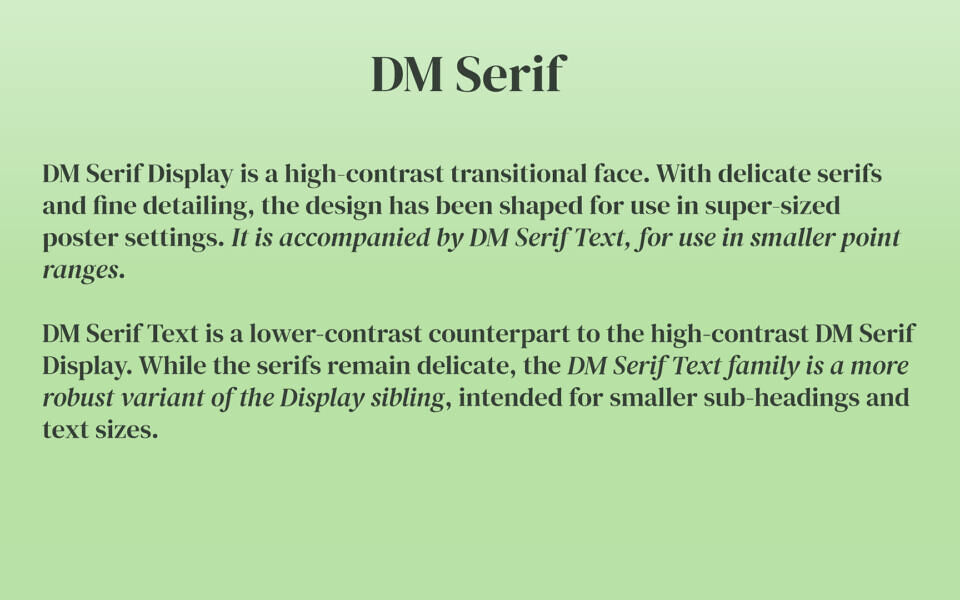 DM Font