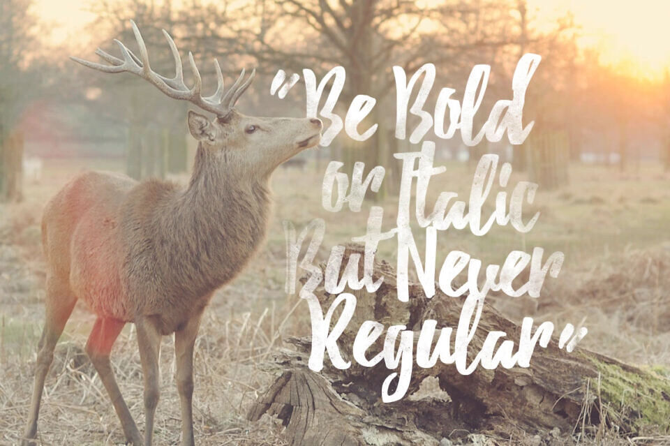 Debby Font