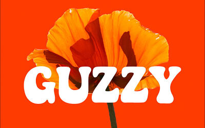 Guzzy Font