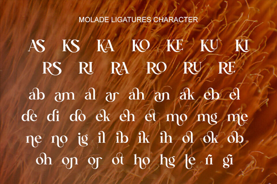 Molade Font