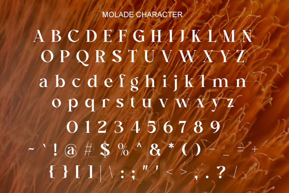 Molade Font