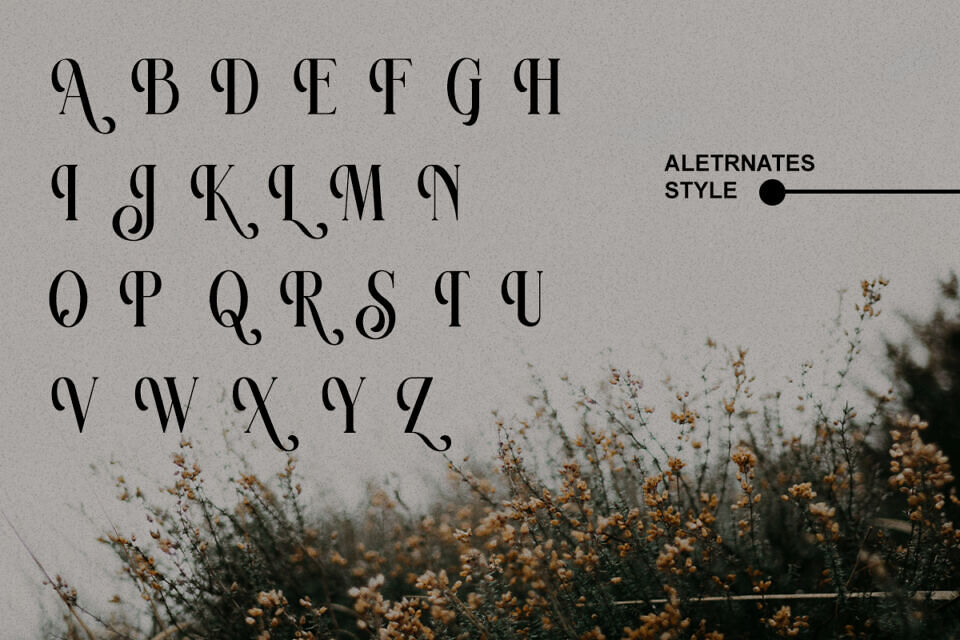 Ravsten Font
