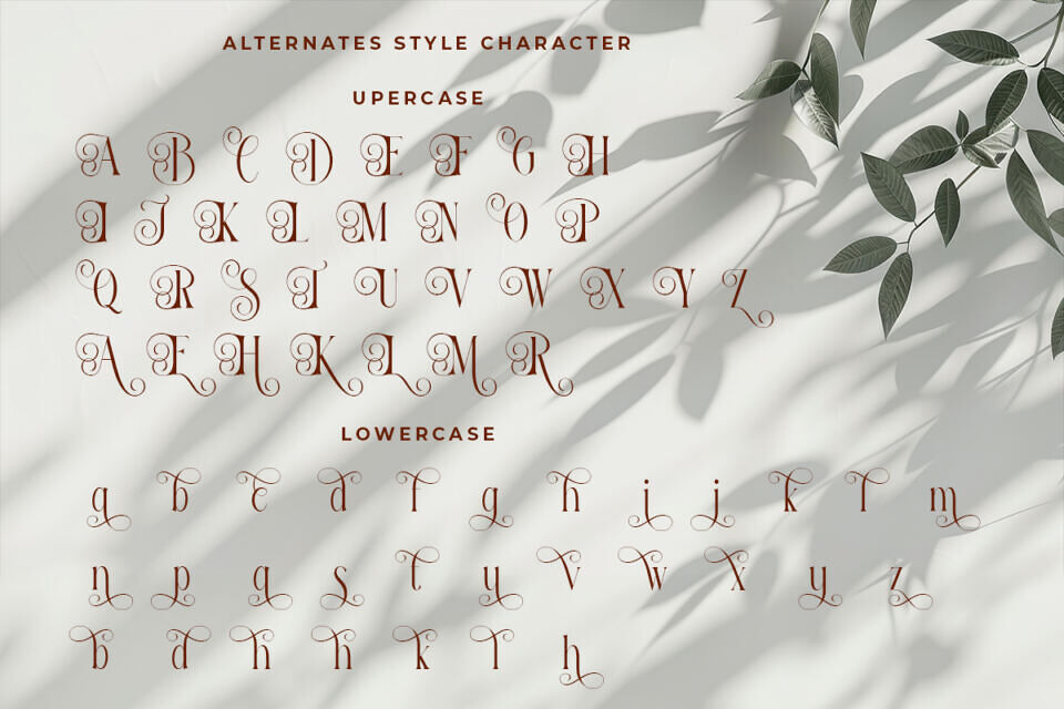 Reilodey Font