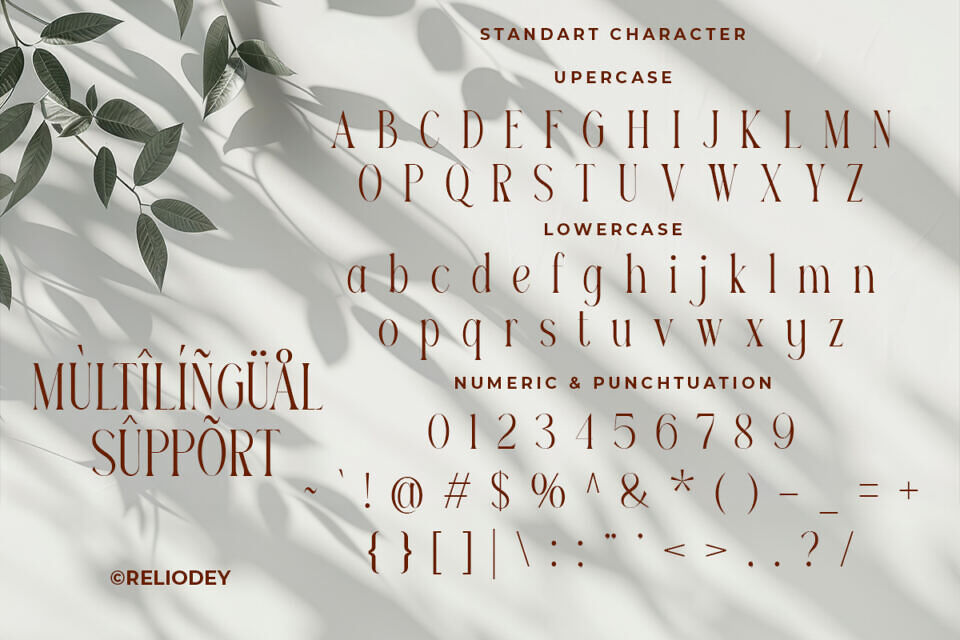 Reilodey Font