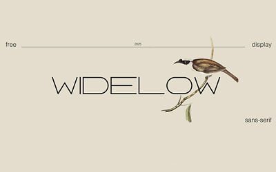 Widelow Font