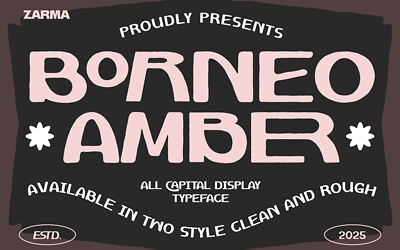 Borneo Amber Rough Font