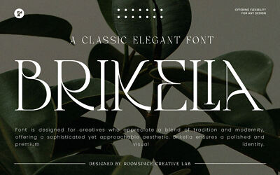 Brikelia Font