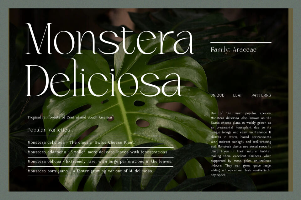 Brikelia Font