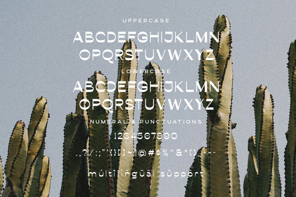 Conega Font