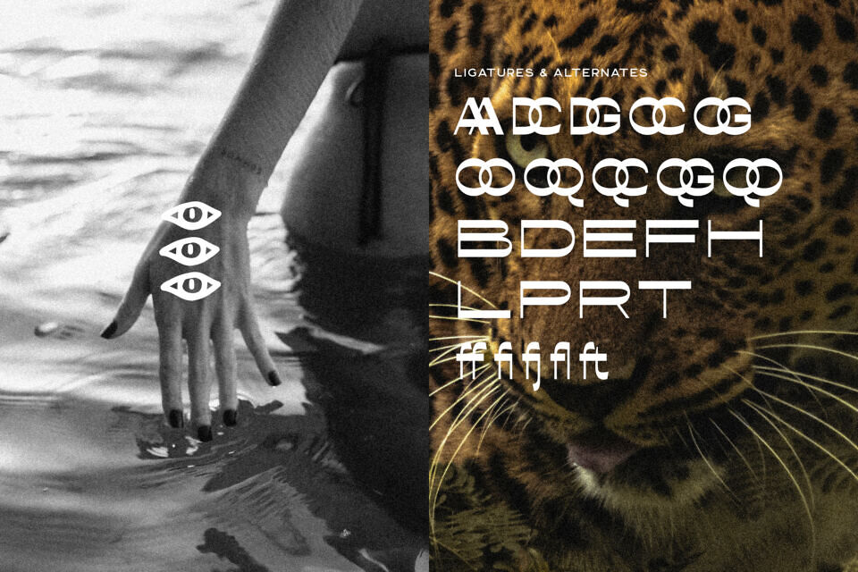 Conega Font