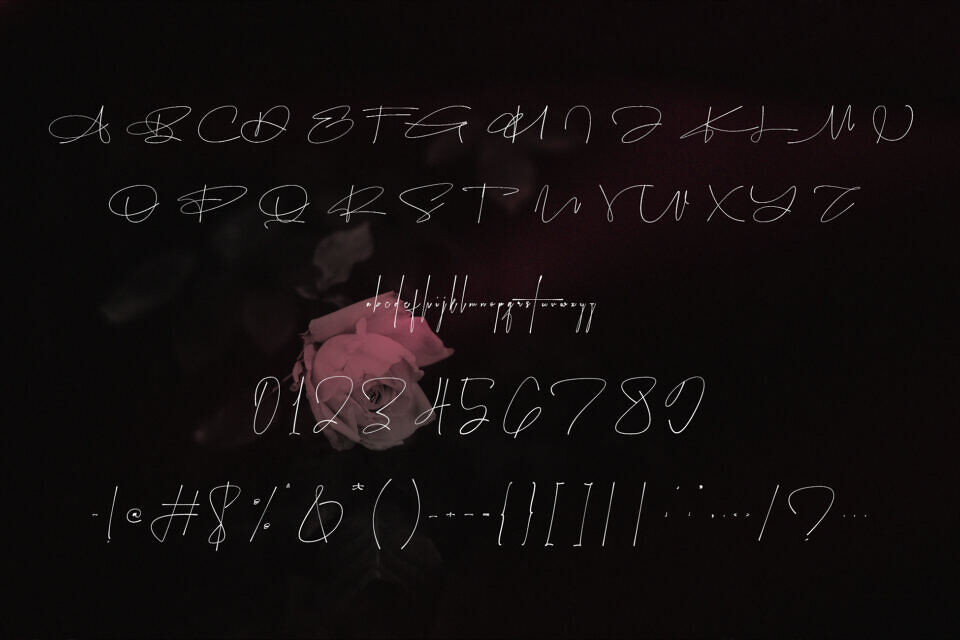Delailta Signature Font