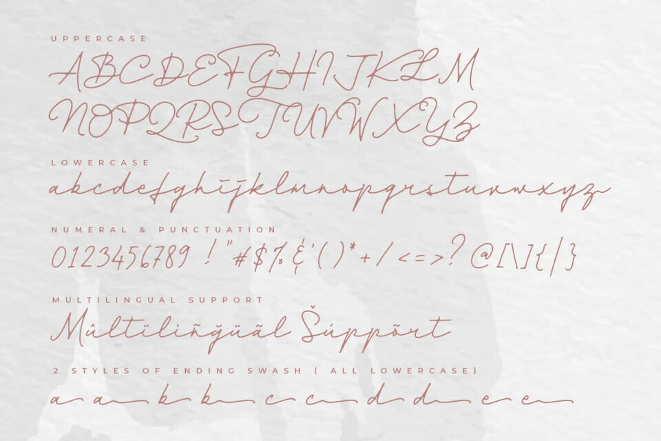 Dienilla Font