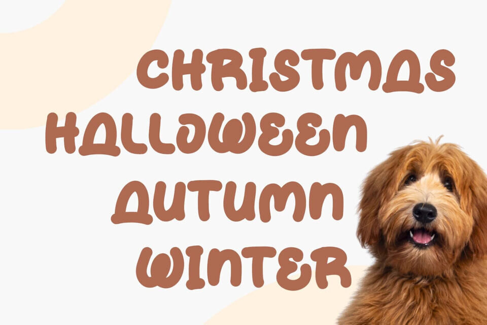 Doggy Pipom Font