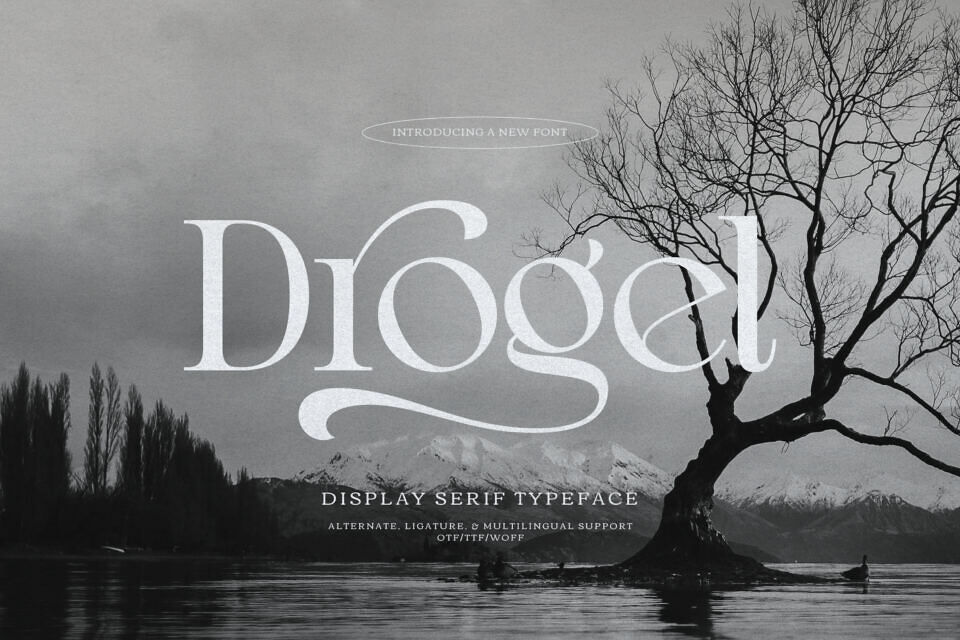 Drogel Font