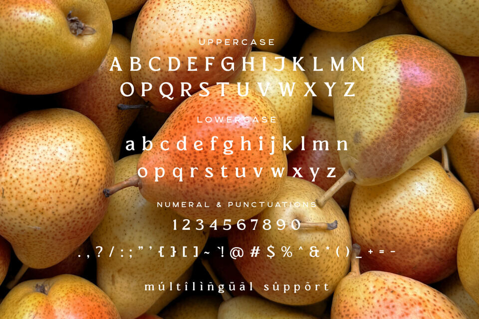 El Pacre Font