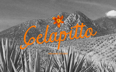 Gelapitto Font