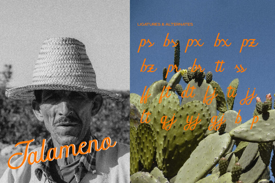 Gelapitto Font